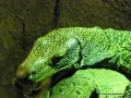 P1040491